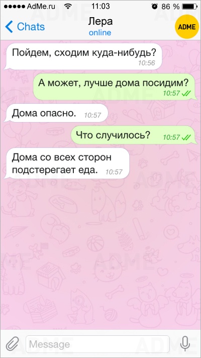 Читать онлайн «Ха-ха три раза. Анекдоты про Вовочку и не только», Владимир Стольный – ЛитРес