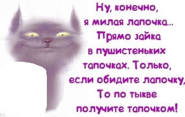 Прикольные статусы которые всем нравятся Прикольные статусы которые всем нравятся