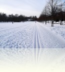 Лыжню! :) 